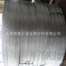 供应304不锈钢钢丝绳  加工包塑钢丝绳  定做彩色包胶钢丝绳