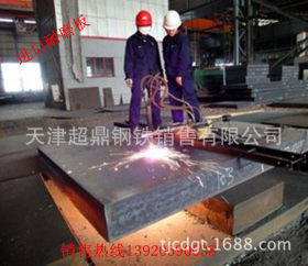 厂家直销碳素结构钢板Q235D钢板  现货销售 切割零售 量大从优