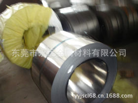 东莞永运金属材料有限公司厂家直销不锈钢sus304冲压带材