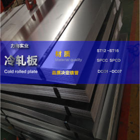 钢厂直销 冷轧板 DC01-6/SPCC /ST12-16规格齐全 质量保证