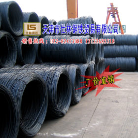 规格14的线材-天津市场供应高线 钢厂直发