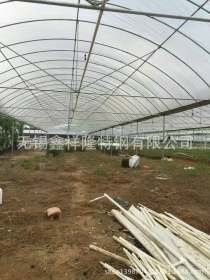 安徽滁州连体温室带外遮阳大棚 葡萄大棚管 简易大棚 养殖大棚管