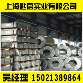 上海热镀锌板 镀锌钢板 SGCC镀锌板 质量保证 送货上门