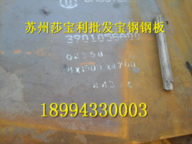 HP295钢瓶板
