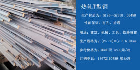 30*30*3T型钢现货价格 专业生产热轧T型钢 保折弯保打孔