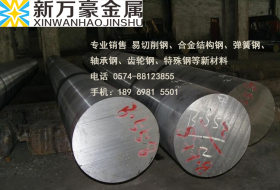 【中亚环球】供应3Cr2W8V热作模具钢 量大从优 材质保证