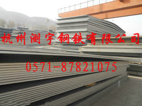 专业出售 杭州钢板 规格齐全 价格便宜