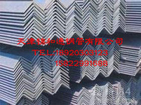 专业生产天津角钢 冷镀锌钢  厂家直销 价格实惠