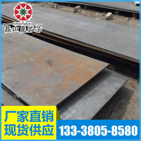 供应Q295B低合金高强度结构钢 钢板 板材 圆棒