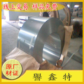 日本进口优质301不锈钢弹簧钢箔带 分条料 0.05不锈钢带 钢带厂家