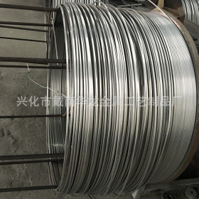 生产供应 不锈钢扁丝不锈钢扁线 304  不锈钢扁线压簧 专业生产