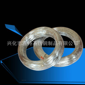 0.8弹簧丝 304 专业厂家生产 光亮面 高强度 平整度高