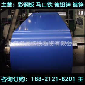 上海【宝钢股份】镀锌彩涂卷板 TDC52D+AZ 彩涂钢板 海蓝 白灰
