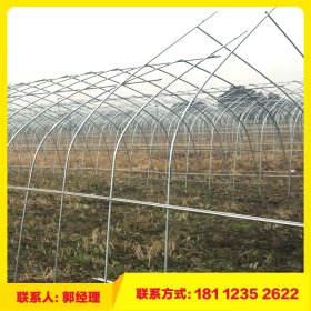 连棟大棚实用的蔬菜大棚管上海大棚钢管厂低价销售镀锌管及配件