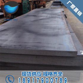 热轧钢板厂家 供应Q235B热轧开平板 普卷 低合金钢板现货