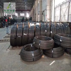 上海现货1.0050优质碳钢线材盘圆高韧性德标供应配送到厂可定制