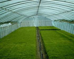 专业生产安装温室大棚管 农业蔬菜大棚管 大棚配件 大棚管折弯机