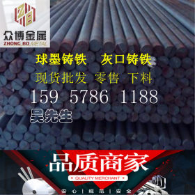 宁波众博金属材料 球墨铸铁棒 灰口铸铁棒HT250 行业领先供应商