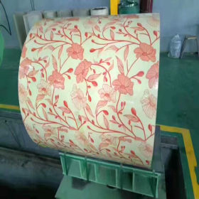 天津彩钢卷厂家批发各种镀锌板 镀锌铁皮 标准彩涂板 印花镀锌卷