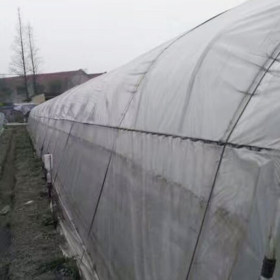 农户所需四季大棚管4分 6分农用大棚管 设计新型温室蔬菜大骨架