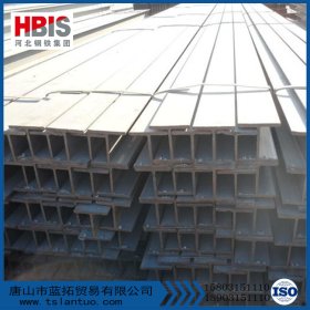 H型钢 Q345B 唐钢 工程用h型钢材 h型钢报价 100*100h型钢价格