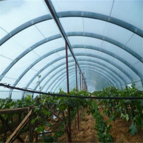 湖南郴州农用大棚管 蔬菜温室大棚钢管厂家