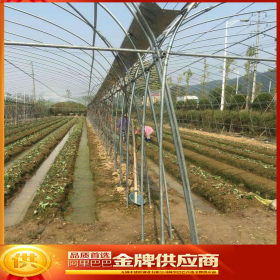 农用蔬菜大棚钢管 葡萄避雨棚支架 养殖单体大棚