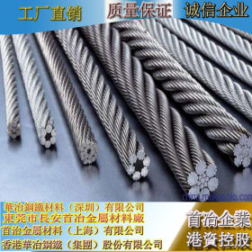 长期供应310S不锈钢丝绳，耐热防锈7*19多股310S不锈钢丝绳