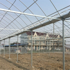 专业建造设计 连体大棚 智能温室蔬菜大棚 承接农业大棚安装建设