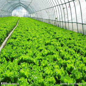 杭州上城厂家供应蔬菜大棚镀锌管温室大棚管配件安装批发