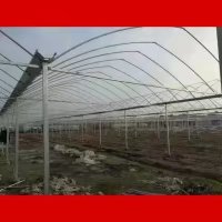 易游娱乐城- YY易游体育官方网站- 易游体育APP潍坊青州：推广设施农业大棚种出好“钱”景
