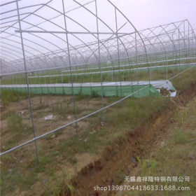厂家销售浙江农业大棚钢管  贵州农业养殖大棚管 安徽蔬菜大棚管