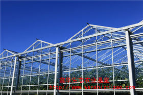 问一问【玻璃温室建造】阳光板玻璃温室价格谁知道？？