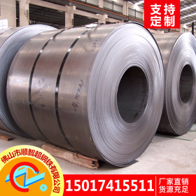 佛山智超钢板厂家直销 Q235B 热板 现货供应可加工定制 9.75*1500