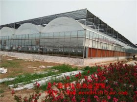连栋薄膜温室 玻璃温室 温室大棚工程 智能温室 专业设计建造