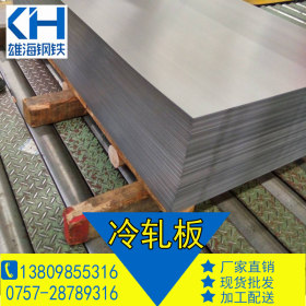 佛山雄海钢铁厂家直销 SPCC 冷轧钢板 现货供应规格齐全 0.9*1000