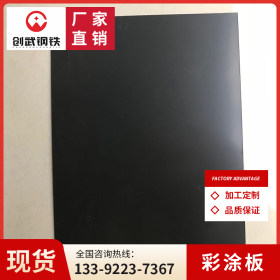 广东创武钢板 DX51D+Z 建筑彩涂板 各类钢板加工 0.4*1250*2500