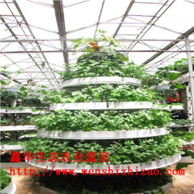 蔬菜无土栽培环保荷兰桶 草莓立体种植槽 无土栽培设备定做