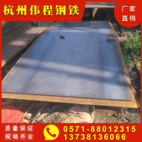 浙江杭州温州 现货 厂家直销 唐钢 Q235 其他中厚板 钢板 镀锌板