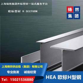 江苏欧标H型钢HEA120 上海S355JR欧标H型钢 欧标型材厂家
